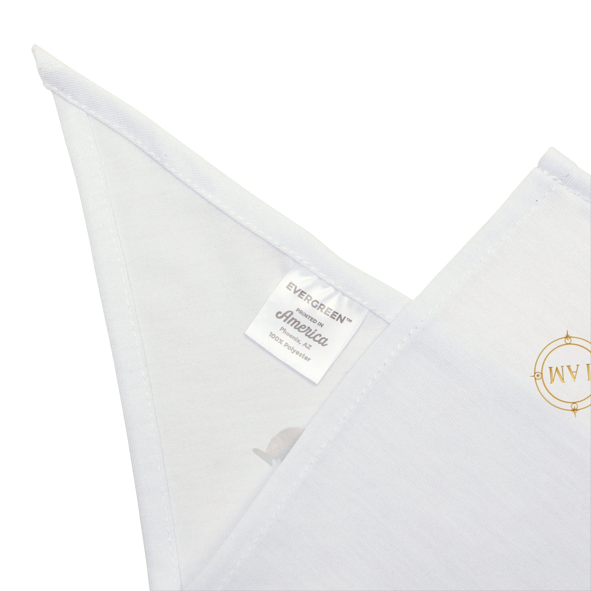 Pet Bandana — "One Heart, Four Paws" Dog & Cat Bandana, Cute Pet Accessory for Walks & Photos